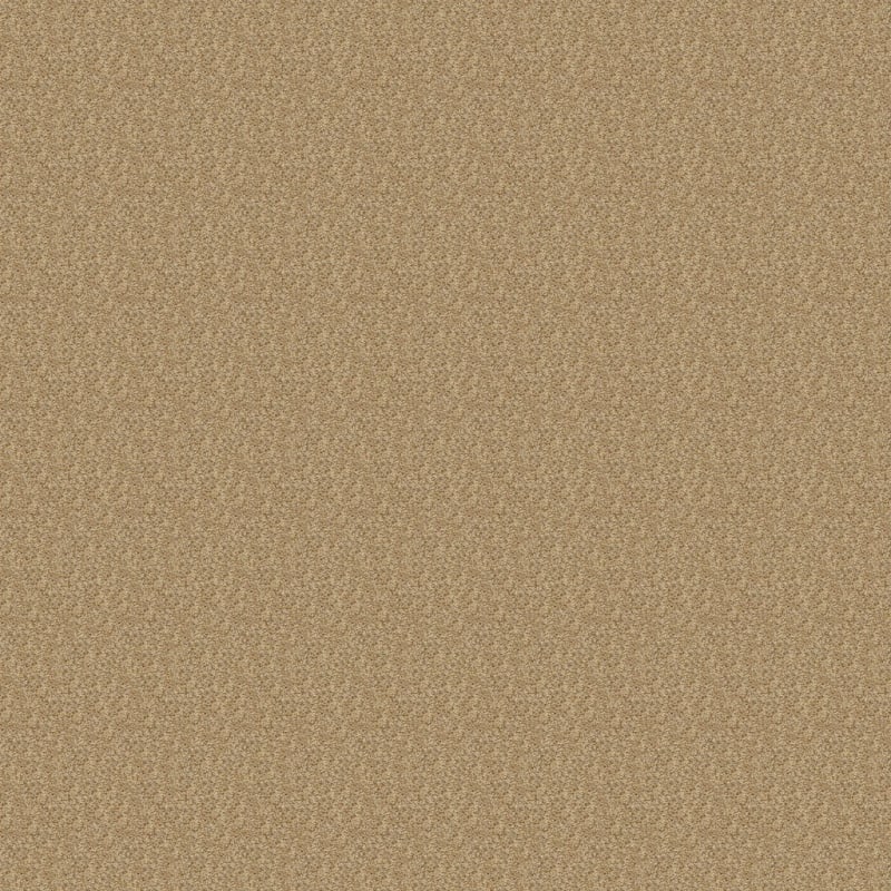 Colorworks carpet by Dixie Home