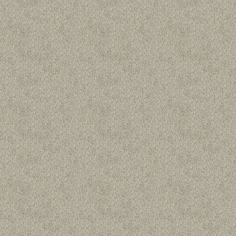 New Age carpet by Dixie Home