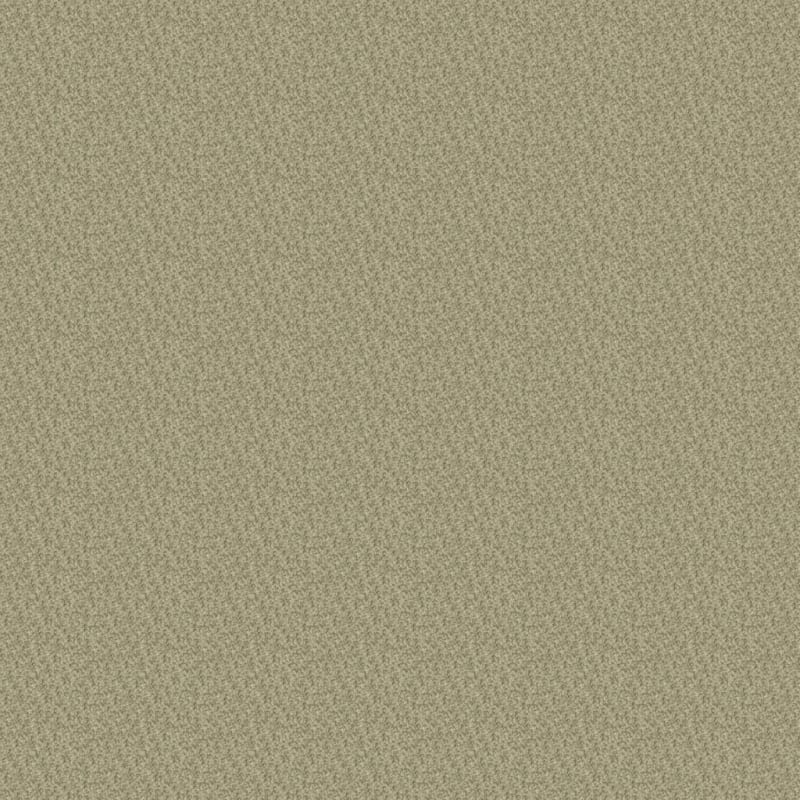 Innovations carpet by Dixie Home
