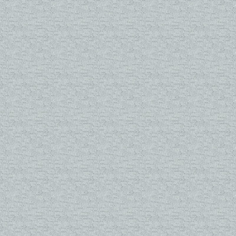 Template carpet by Dixie Home