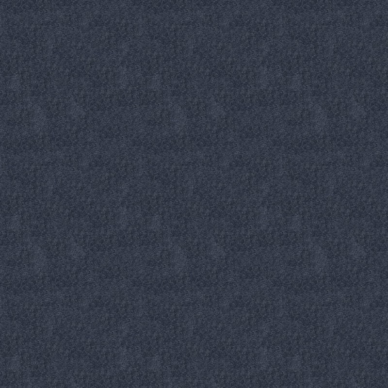 Prize Winner carpet by Dixie Home