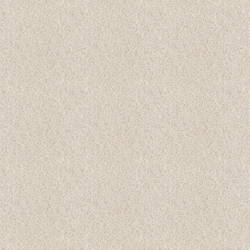 Akita carpet by Dixie Home
