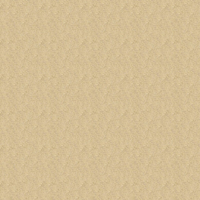 Colorworks carpet by Dixie Home