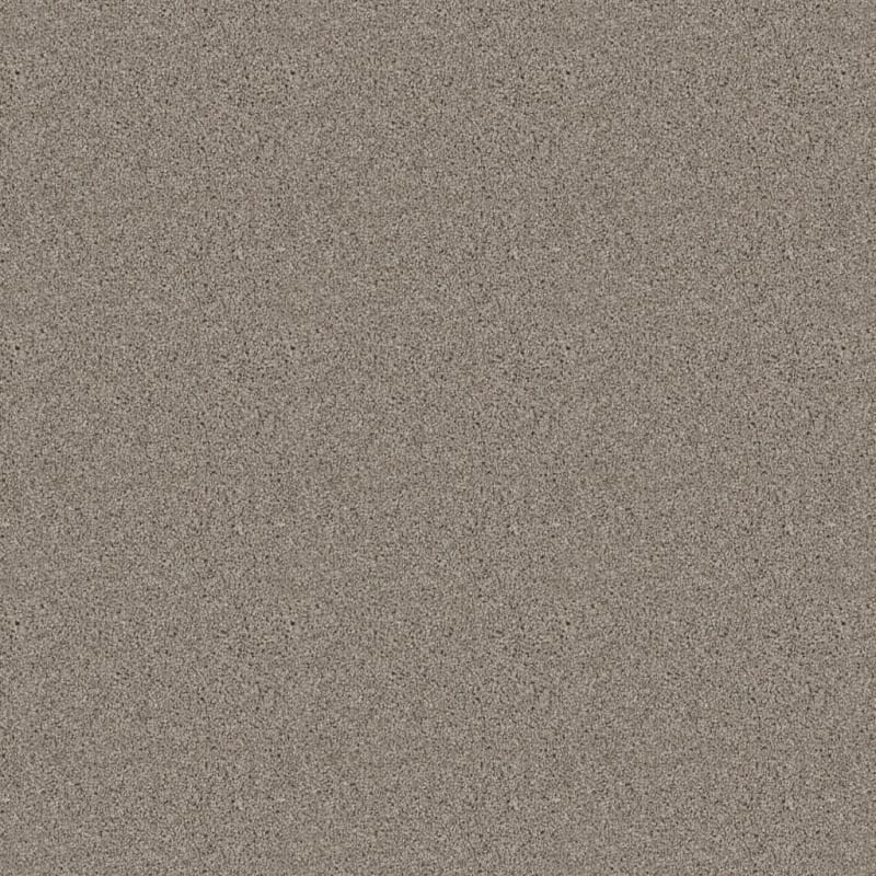 Dx836 carpet by Dixie Home