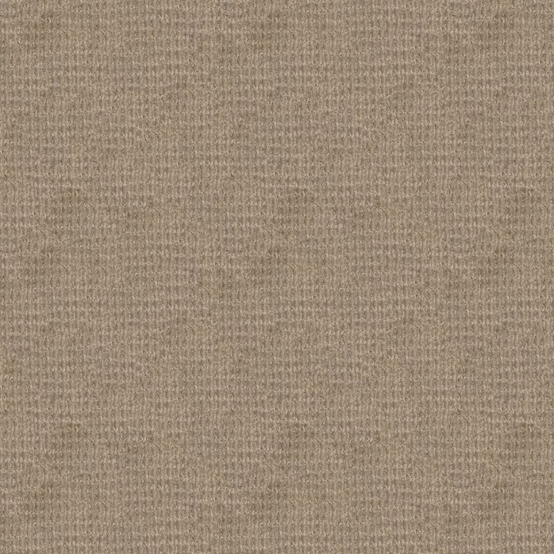 Yucatan carpet by Dixie Home
