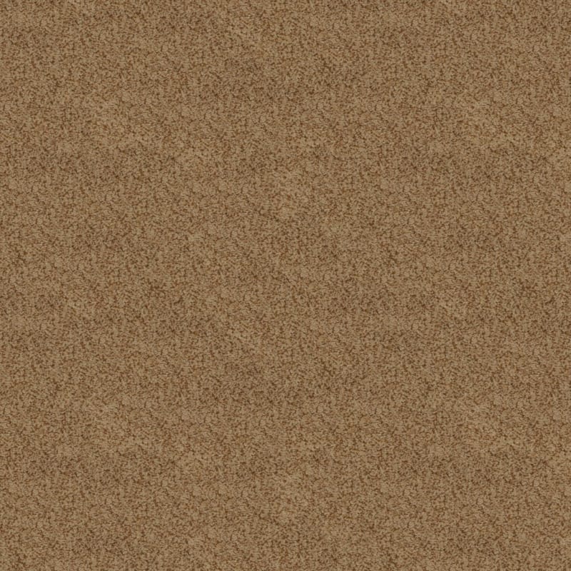 Soft & Silky carpet by Dixie Home