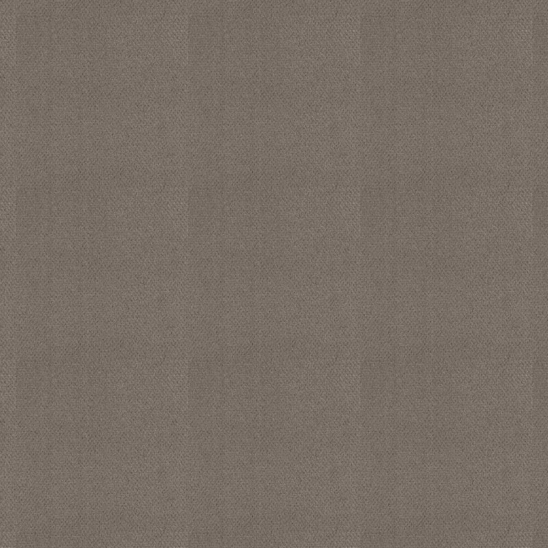 Dx300 carpet by Dixie Home