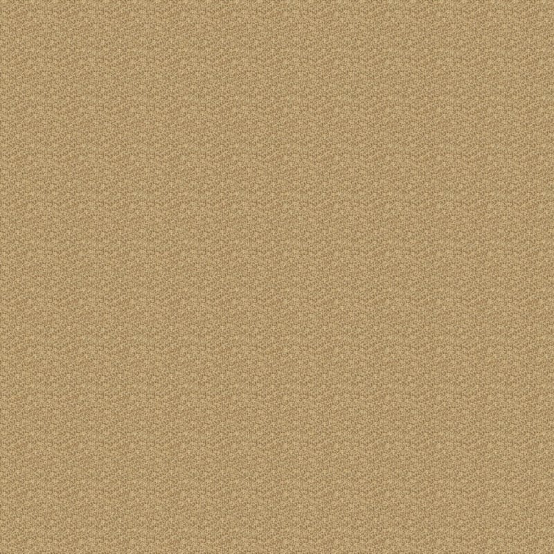 Aspects carpet by Dixie Home