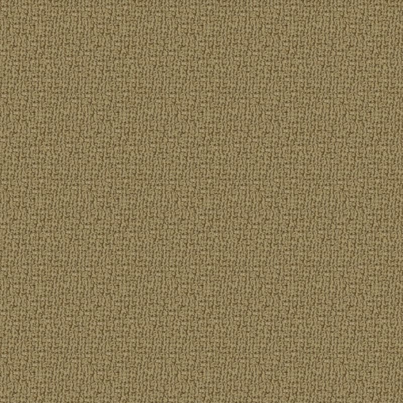 Boston Common carpet by Dixie Home
