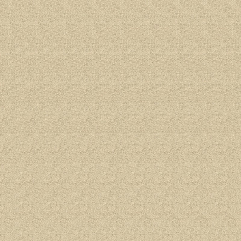 Katie's Comfort carpet by Dixie Home