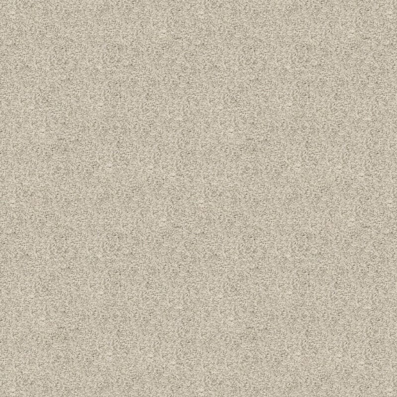 Rochelle carpet by Dixie Home