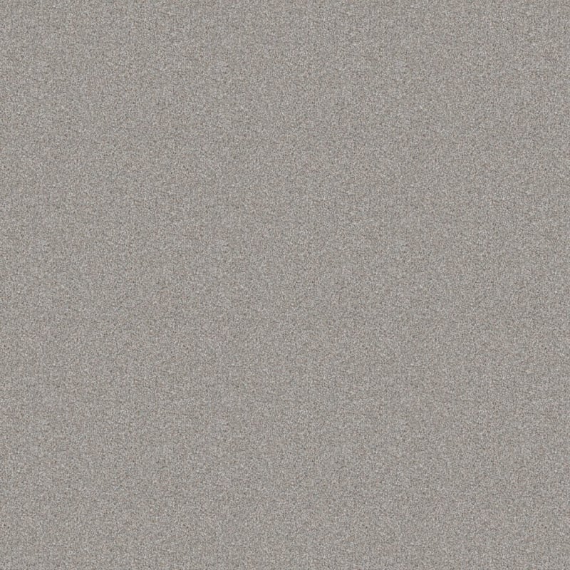 Adore carpet by Dixie Home