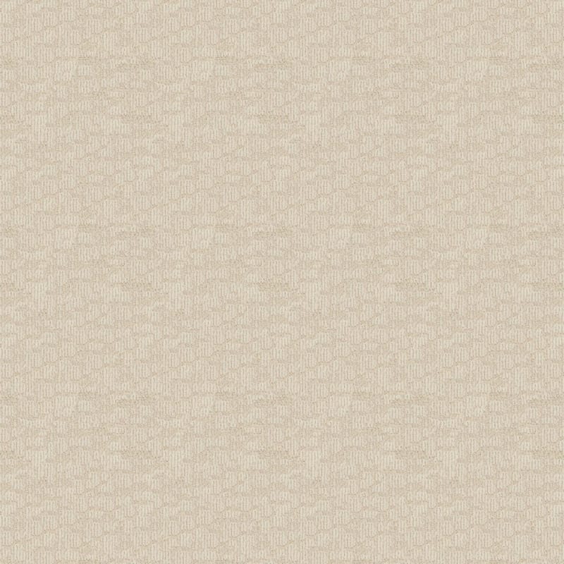 Template carpet by Dixie Home