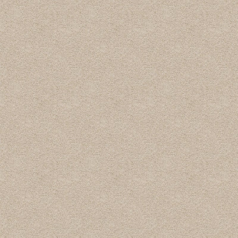 Shepherd carpet by Dixie Home