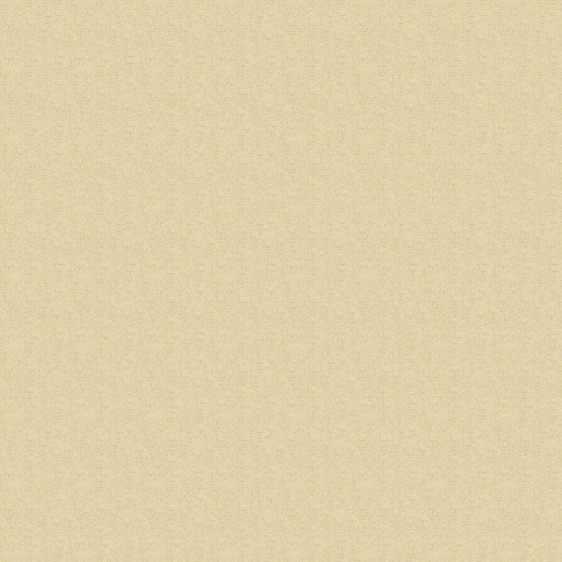 Katie's Comfort carpet by Dixie Home