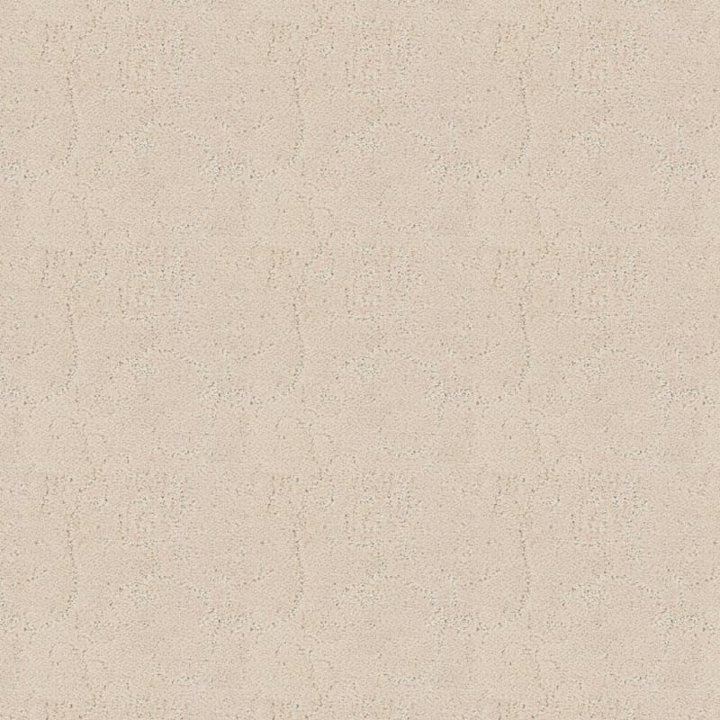 Shelter carpet by Dixie Home