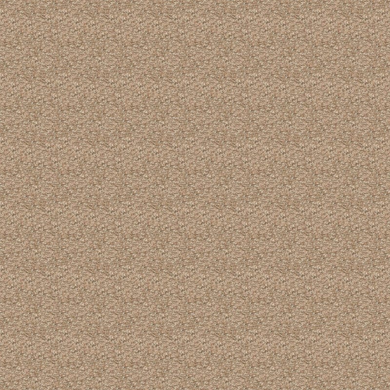 Rochelle carpet by Dixie Home