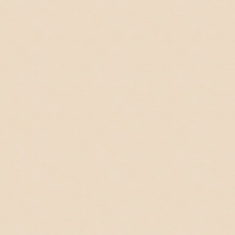 Grand Isle carpet by Dixie Home
