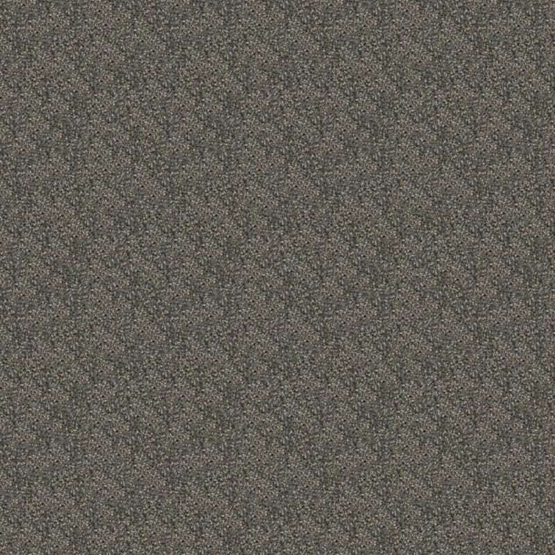 Game Plan carpet by Dixie Home