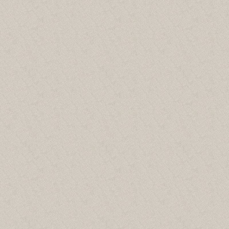 Legit carpet by Dixie Home