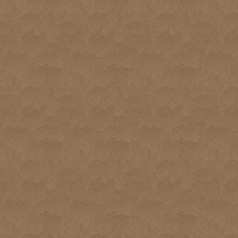 Spellbinding carpet by Dixie Home