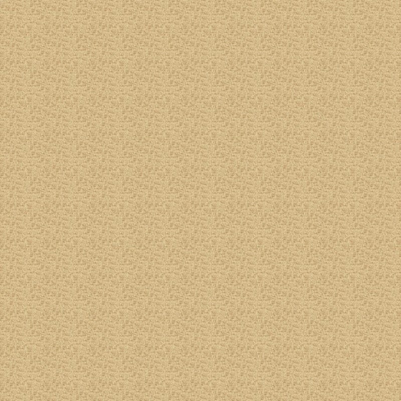 Aspects carpet by Dixie Home