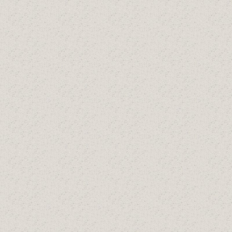 Attributes carpet by Dixie Home