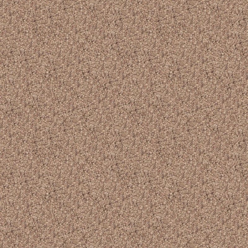 Great Dane carpet by Dixie Home