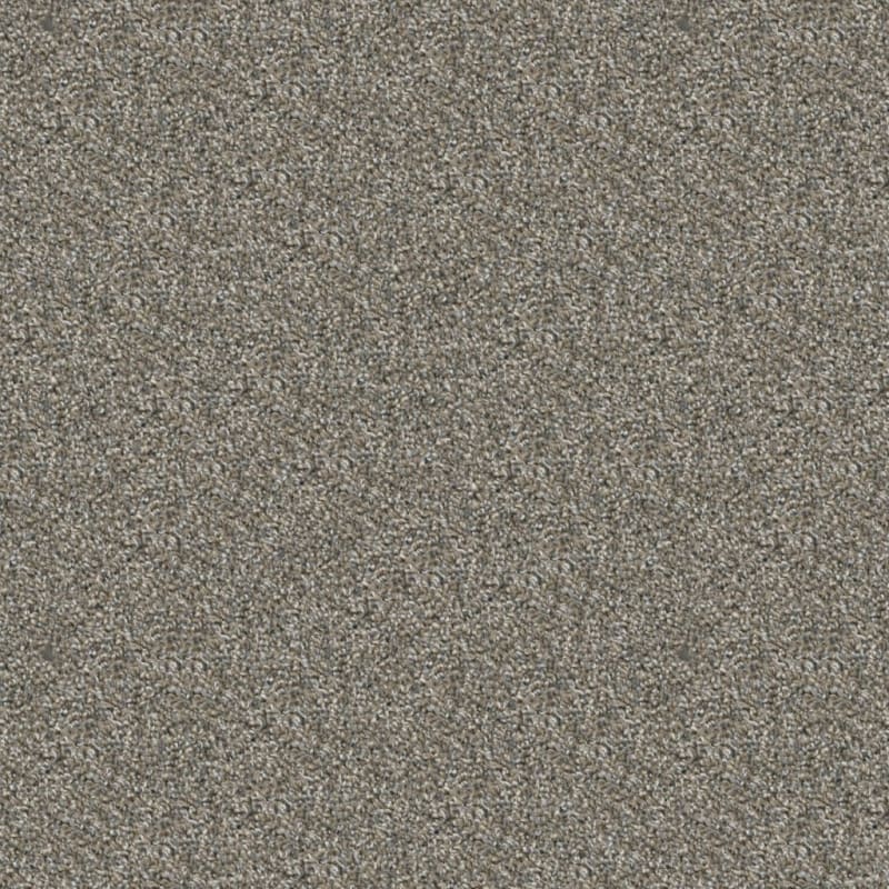Tactics carpet by Dixie Home