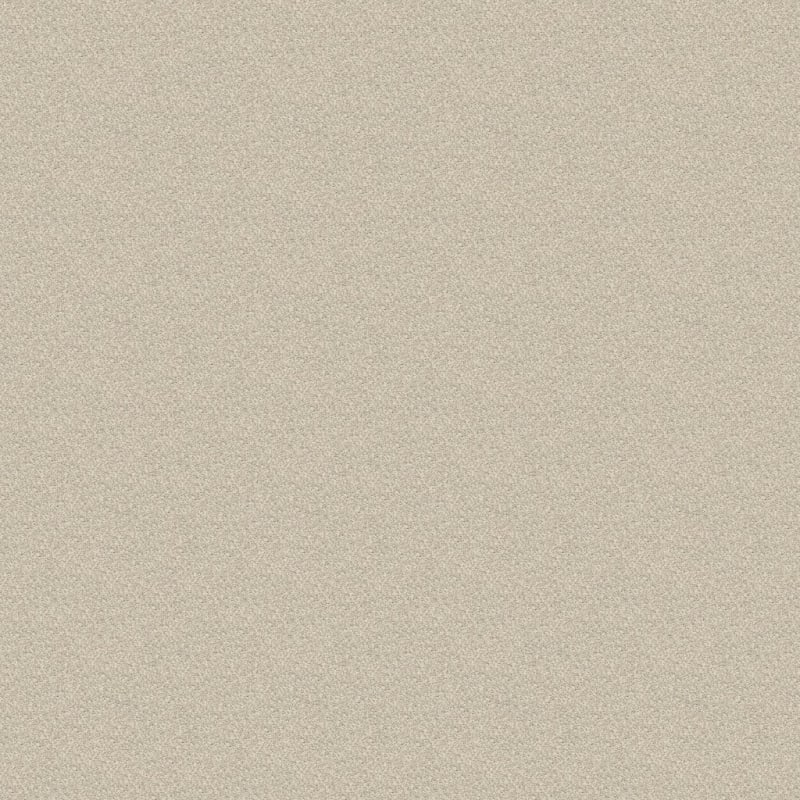 Gusto carpet by Dixie Home