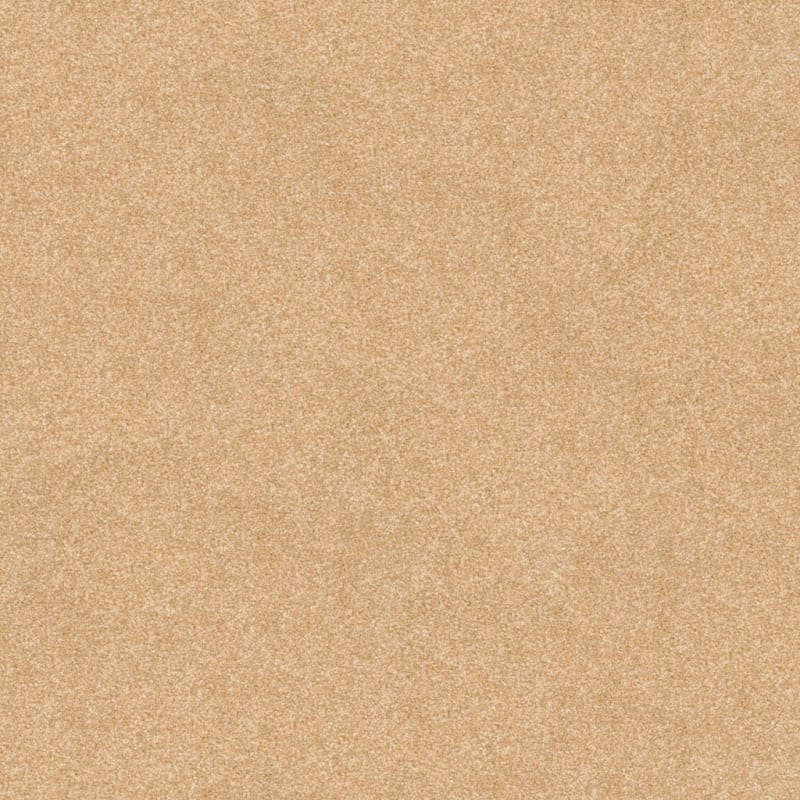 True Comfort carpet by Dixie Home