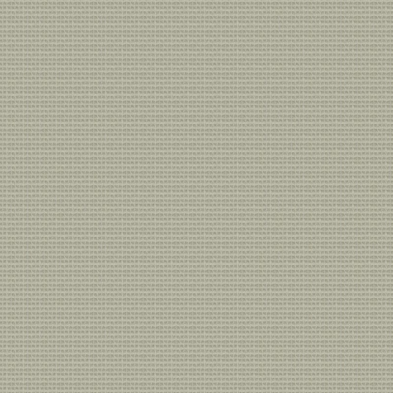 Rock Creek carpet by Dixie Home