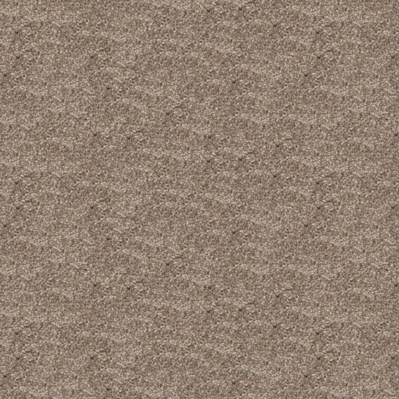 Dx108 carpet by Dixie Home
