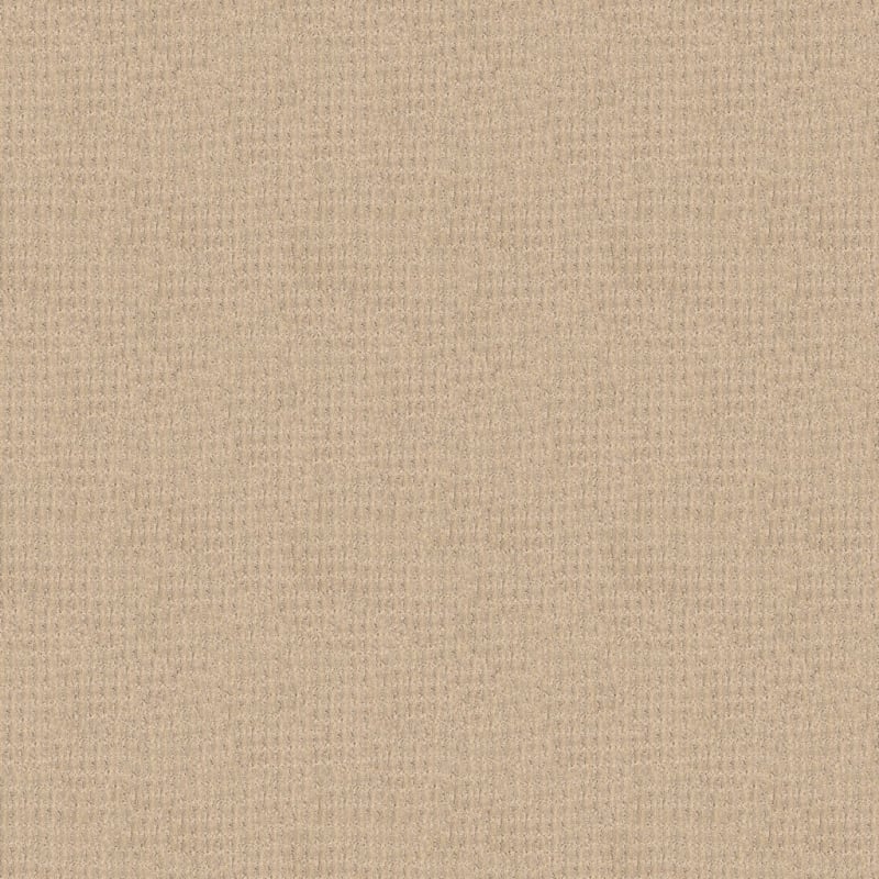 Yucatan carpet by Dixie Home