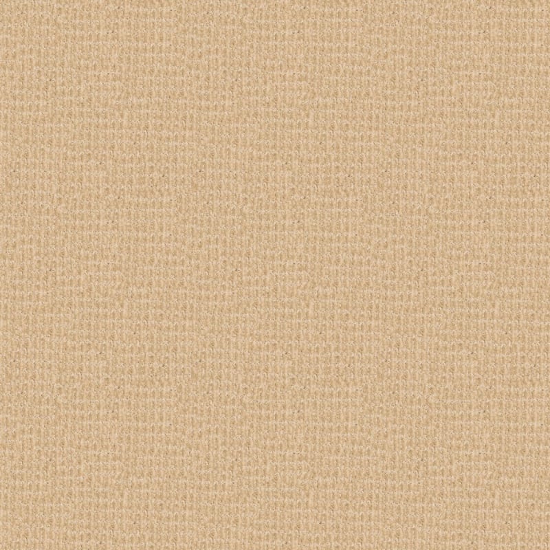 Yucatan carpet by Dixie Home