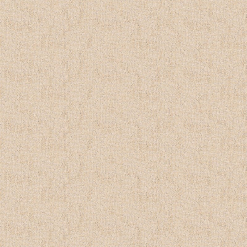 Teton carpet by Dixie Home