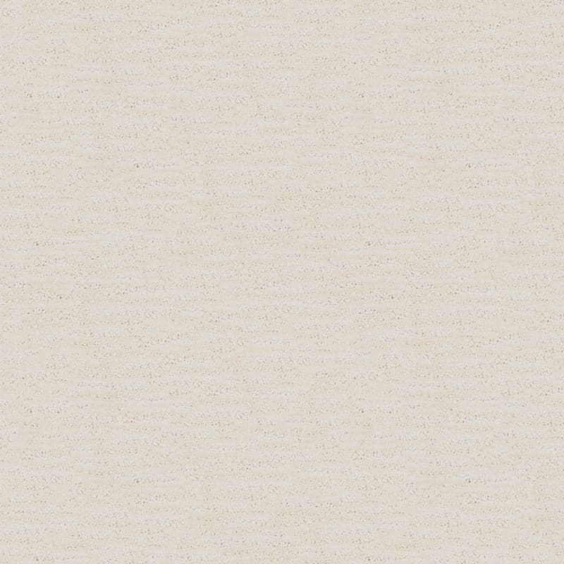 Colter Bay carpet by Dixie Home