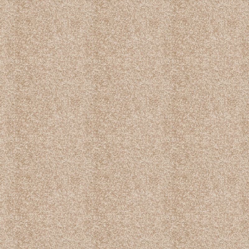 Treasured Moment carpet by Dixie Home