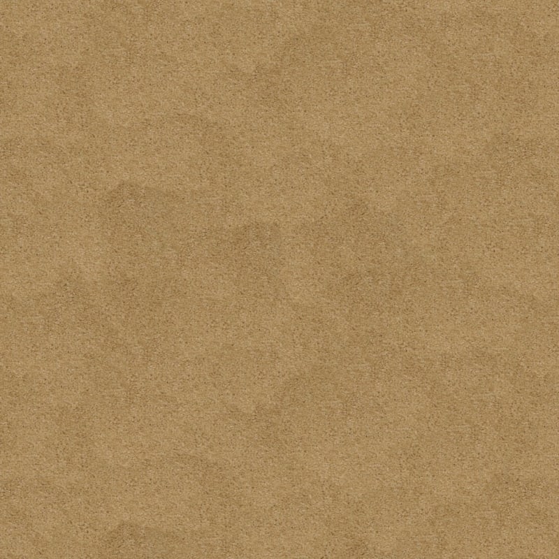 Soft & Silky carpet by Dixie Home