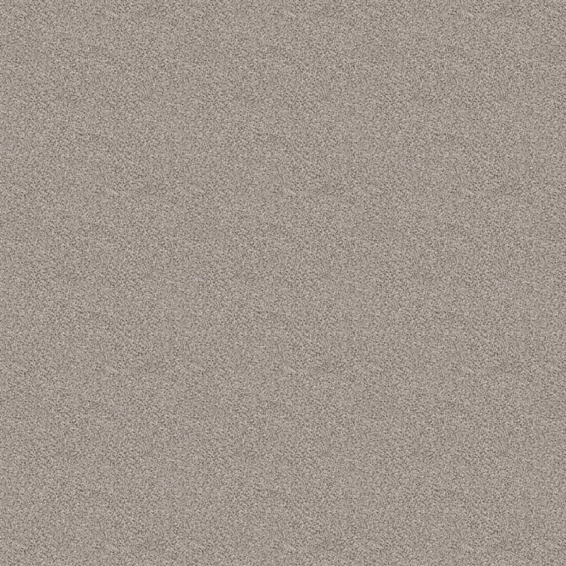 Dx125 carpet by Dixie Home
