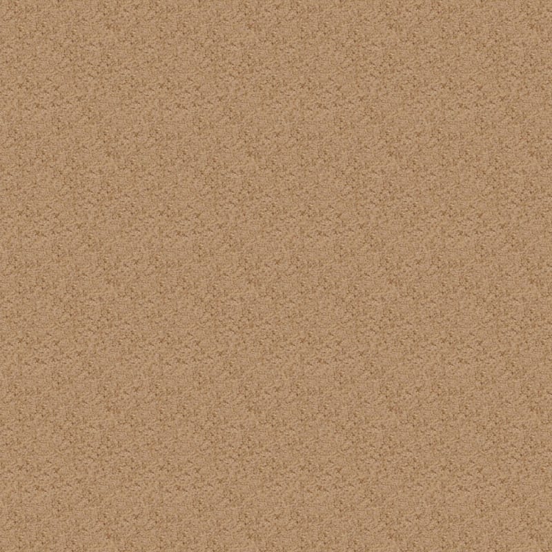 Chromatic Touch carpet by Dixie Home