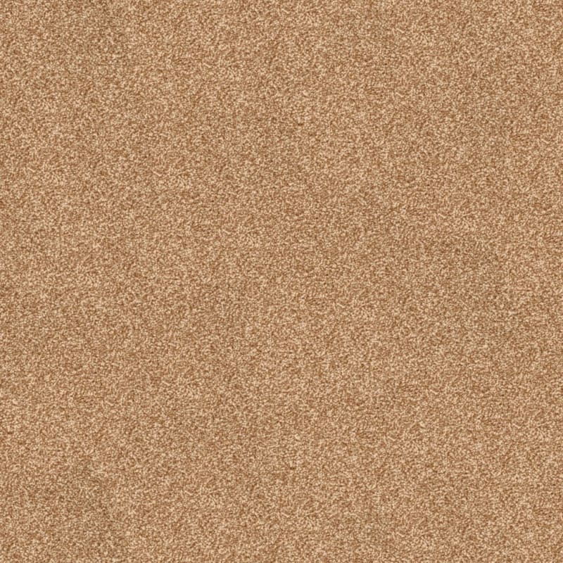 True Comfort carpet by Dixie Home