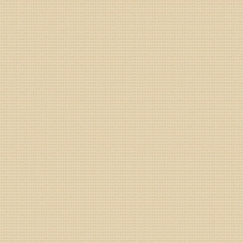 Rock Creek carpet by Dixie Home