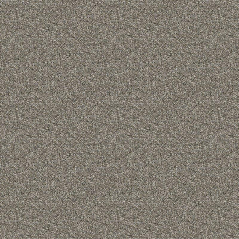 Game Plan carpet by Dixie Home