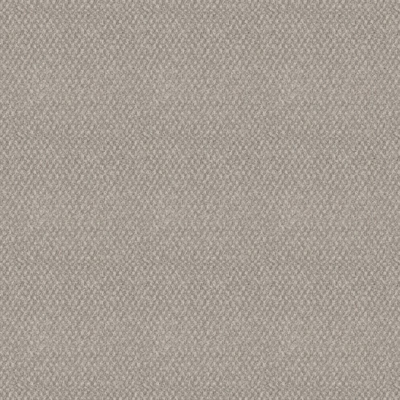 Calm carpet by Dixie Home