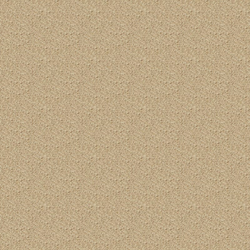 Magic Moment carpet by Dixie Home