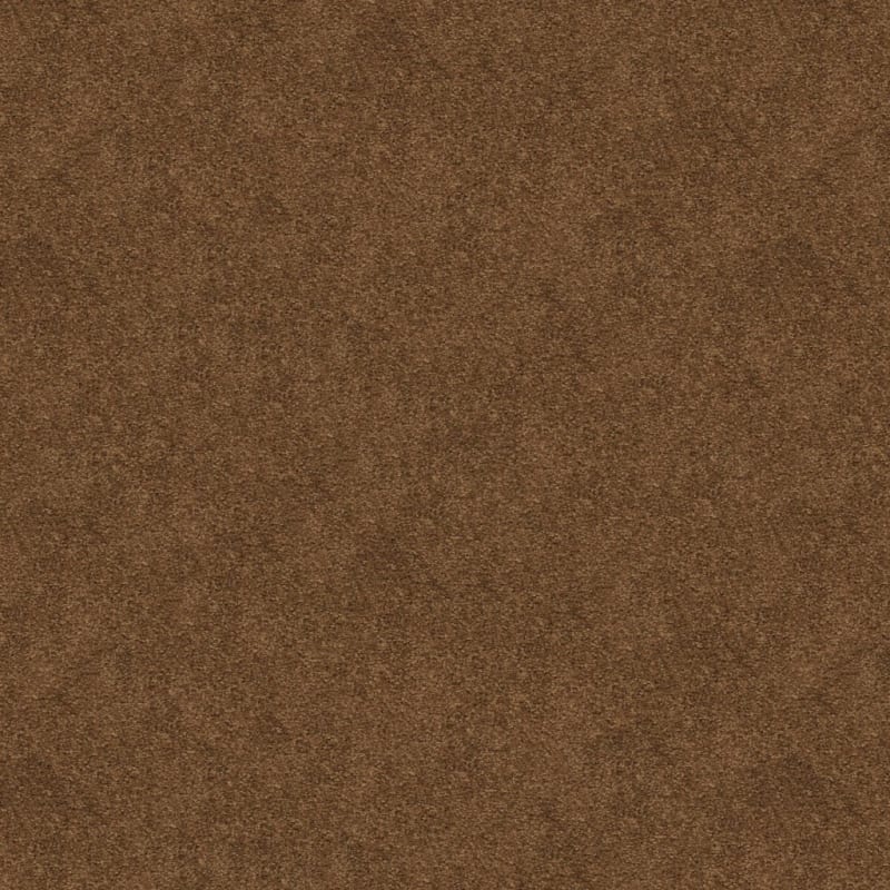 Soft & Silky carpet by Dixie Home