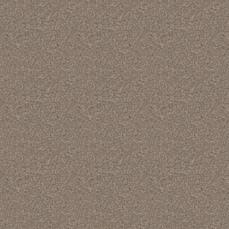 Adore carpet by Dixie Home