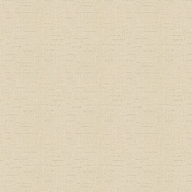 My Hero carpet by Dixie Home