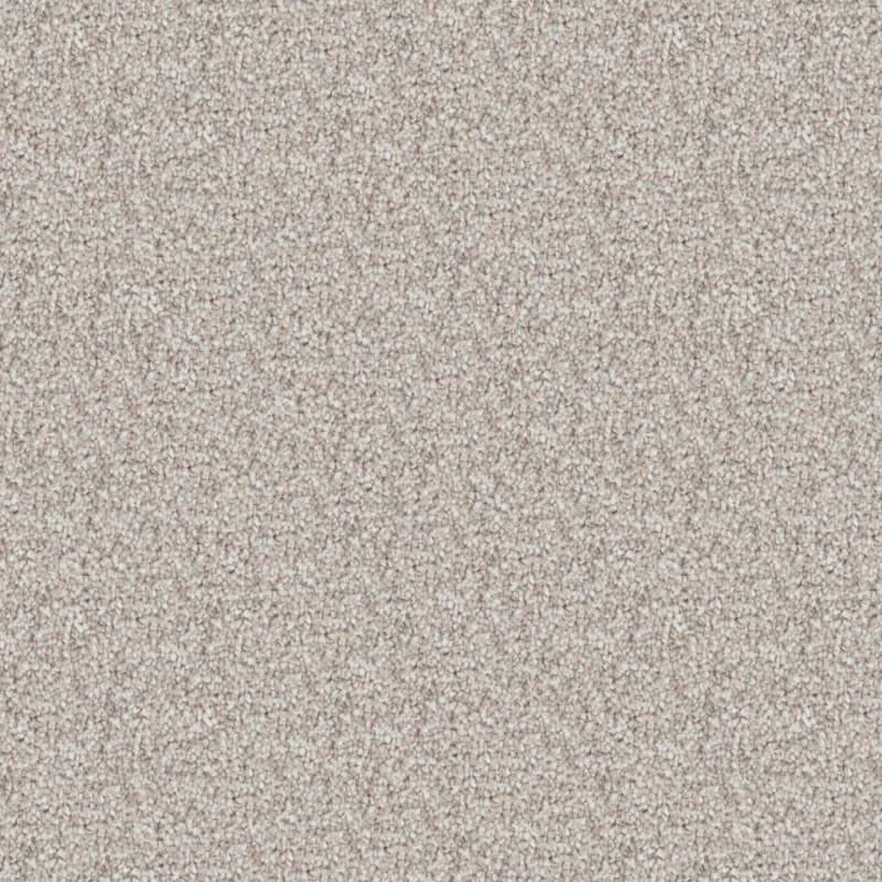 Husky carpet by Dixie Home